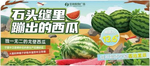 每日吃瓜大赛入口汇聚地